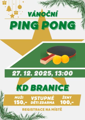 Ping Pong_2025